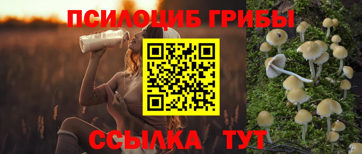 Галлюциногенные грибы Psilocybine cubensis Стрежевой