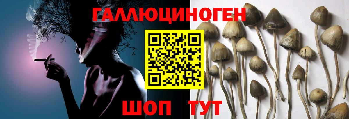Псилоцибиновые грибы Magic Shrooms  Вход с VPN  Стрежевой  Галлюциногенные грибы Magic Shrooms 